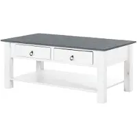 Loft 24 Ines-Salontafel - 2-laden - Wit/Grijs Grenen