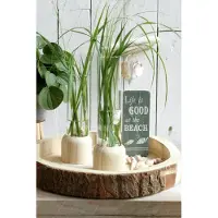 Packlinq Houten basisvoet met reageerbuis Ø 5 cm en 28 cm hoog (1 pc)