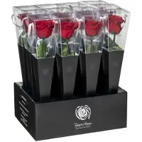 Four Reasons four seasens - eeuwige roos - Rose Amor- Longlife echte rozee roos 30cm - doorzichtige cadeau koker - cadeau - liefde cadeau -