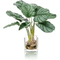 Easyplants Kunstplant Calathea 39 cm in glas