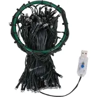 vidaXL Kerstboomverlichting met 250 LED's koudwit net 250 cm