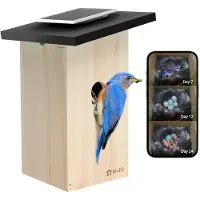 Birdfy Nestkast met camera Ebony Lite Slim Vogelhuisje Op Zonne-energie en AI-Vogelherkenning - EPPAMBNI8802110