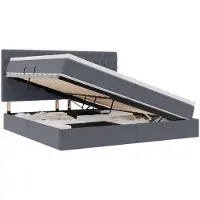 vidaXL Opslag bed met matras Donkergrijs 200 x 200 cm Fluweel