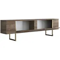 Vente-unique Tv-meubel met 2 deuren - Donker naturel en goud - ZIRELDA