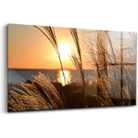 Wallfluent Glasschilderij - Tarwe in het gouden uur Schilderij Glas - 140x70 cm - Geel Horizontale muurfoto - Staten Glas Foto - Glas Schilderij - Foto Glas