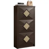 Merax Vintage Schoenenkast met Rattan – Retro Schoenen Kast met 3 Klapvakken – Smalle Halkast 54x25x115 cm – Donkerbruin Hout