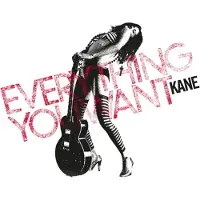 MUSIC ON VINYL Everything You Want