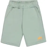 Alpha industries Broek pastelgroen / oranje