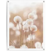 Reinders - Cotton Field - Tuinposter 80x60cm