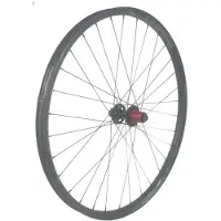 Gtr Sl30 29´´ Cl Disc Tubeless Mtb Achterwiel