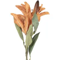 Clayre & Eef Kunstbloem 88 cm Geel Kunststof