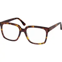Frank and Lucie Leesbril Eyedeal -FL29504--Turtle shade-+2.00