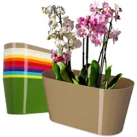 Kadax Bloempot van kunststof, 27 x 13 cm, brede pot, ovale plantenpot, bloemenpot voor orchideeën, Bellis, viooltjes, drazänen (beige)