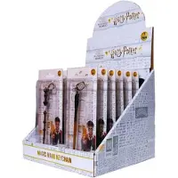 Harry Potter sleutelhanger
