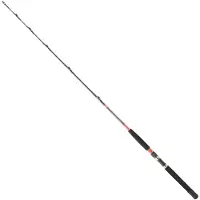 Daiwa Megaforce Ar Trolling Rod Zilver 1.70 m / 50-80 Lbs