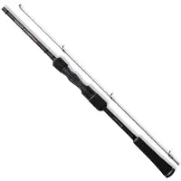 Herakles Wild Strike Spinning Rod Zilver 2.40 m / 2-10 g