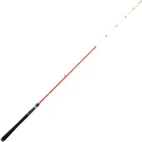 Daiwa Sensor Palangrotte Eging Rod Zilver 2.10 m / 30-120 g