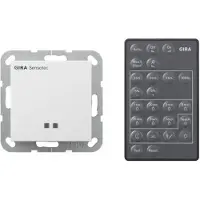 Gira Systeem 55 Bewegingssensorelement - 236603