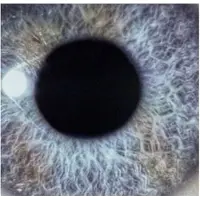 CENTURY Dan Swanö- Moontower (Re-issue) (CD)