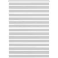 vidaXL Zebra rolgordijn 165x230 cm stofbreedte 160,9 cm lichtgrijs