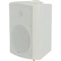 AVSL BP6V-W 100V speaker 120 Watt