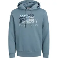 Jack & Jones Sweatshirt | M | male