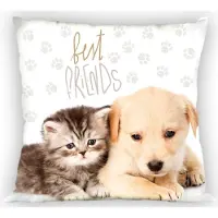 MCU Sierkussen - Best Friends - 40 x 40 cm- allee hoes