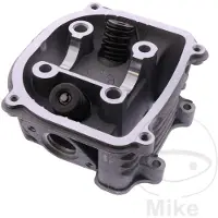 101 Octane Gy14191 Cilinderkop
