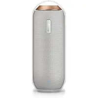 Philips - draadloze draagbare luidspreker - BT6000W/12