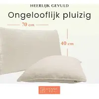 DYNMC you Modern Sofa Kussen 2 Pakken 40x70 met Zachte OEKO-TEX Katoenen Hoes - Comfortabel sierkussen met medium harde kussenvulling - Perfect als decoratief rugkussen - Premium sofakussen