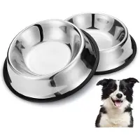 LONGZIMING -2-pack hondenvoerbakken van roestvrij staal – antislip en duurzaam – geschikt voor honden en katten – hygiënisch, makkelijk schoon te maken en stabiel – zilver