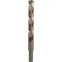 Bosch Pro Hss-co Din 338 13x101x151 Metaalboor