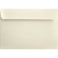 Netuno Gefactureerde crème enveloppen A5 - 162 x 229 mm - C5 - 20 stuks - HK zelfklevend met plakstrip - 120 gram - Aster Laid -
