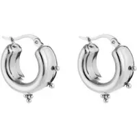 Yehwang oorbellen hoops met spikes - earrings with little spikes - zilver kleur - silver - stainless steel - waterproof - cadeau - moeder - dochter