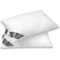 Fam Home Kussen 50 x 70 cm, set van 2 zachte microvezel, aanpasbaar, hoofdkussen, 50 x 70 cm, met optimale ondersteuning, binnenkussen, ademend met ritssluiting, extra zak met vulmateriaal