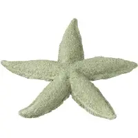 J-Line decoratie Zeester - polyresin - muntgroen - small - 2 stuks