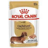 Royal Canin 48x Dachshund Adult Hondenvoer Nat 85 gr