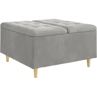 vidaXL Ottoman met opslag Lichtgrijs 80 x 80 x 45 cm Fluweel