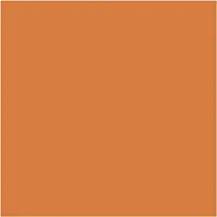 Packlinq Plus Color Acrylverf, pumpkin, 60 ml/ 1 fles