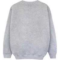 Harry Potter Meisjes Uil Brief Van Zweinstein Sweatshirt (Sportgrijs)