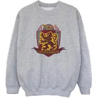 Harry Potter Jongens Gryffindor borstembleem Sweatshirt (Sportgrijs)