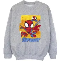 Marvel Jongens Spidey En Zijn Verbazingwekkende Vrienden Vliegend Sweatshirt (Sportgrijs)