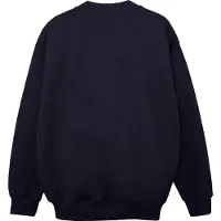 Harry Potter Meisjes Uil Brief Van Zweinstein Sweatshirt (Marineblauw)