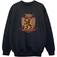 Harry Potter Jongens Gryffindor borstembleem Sweatshirt (Zwart)