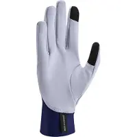 Nike Heren Pacer Midweight Hardloop Handschoenen (Ghost)