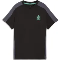 Puma Functioneel shirt turquoise / antraciet / zwart