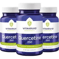 Vitakruid 3x Quercetine 250 (60 capsules)