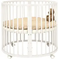 Novi at Home Park Novi Mila Rond White