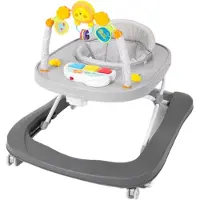 Baninni Loopstoel Totti 2-in-1 Gray