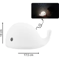 Flow Projector Moby